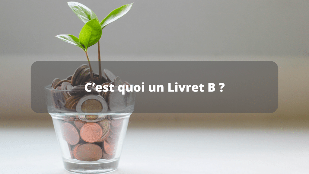 Le Livret B : Avantages, Inconvénients Et Taux D'intérêt